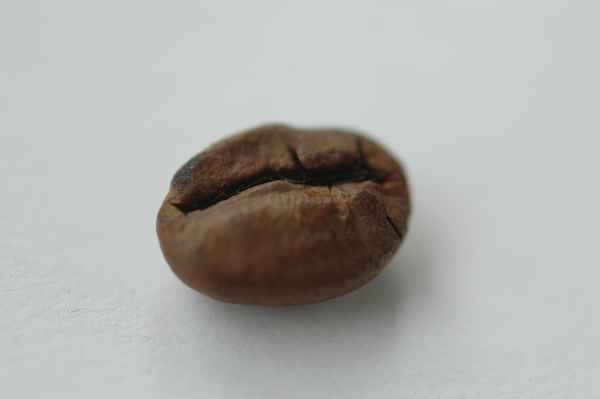 Kaffeebohne