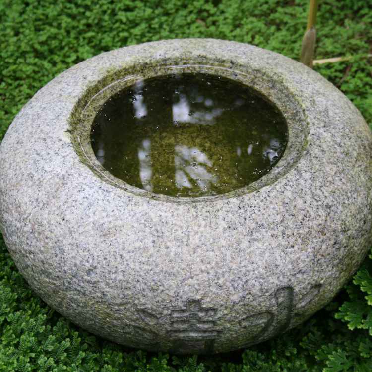 Wasser