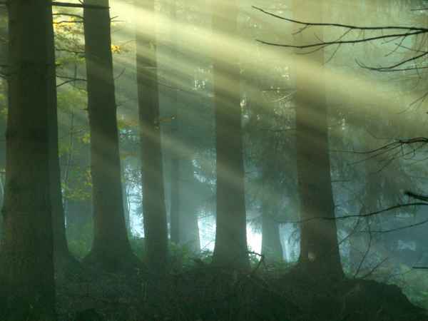 Lichtblick