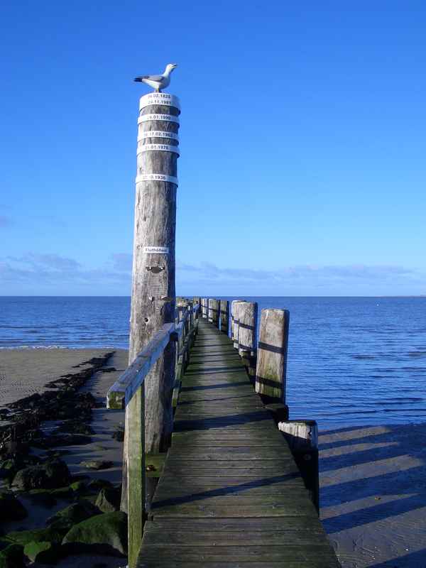 Föhr