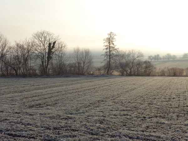 Wintermorgen in Mattersburg - 2