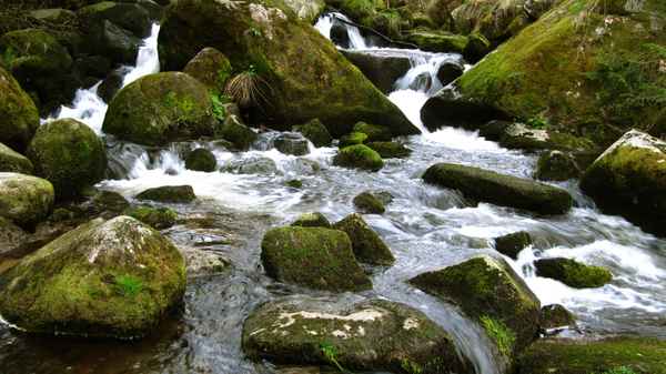 Quellfrischer Bergbach
