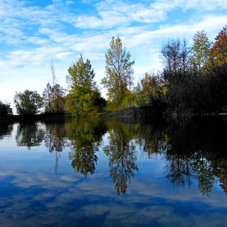 Kraftvolle Herbstfarben spiegeln sich