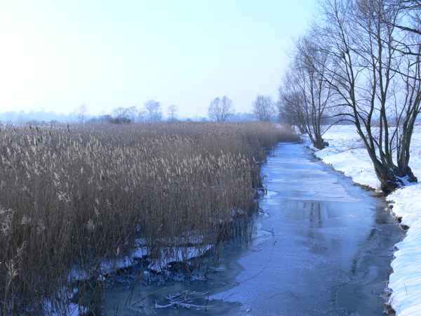 "ein Stück vom Winter"