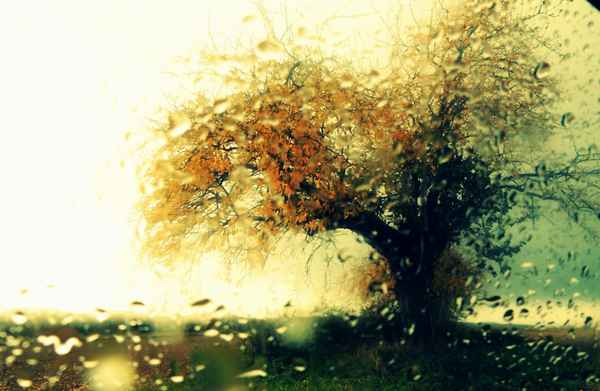 Regenbaum