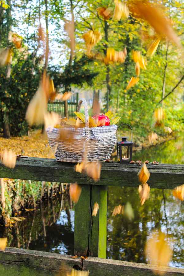 es fallen die Blätter