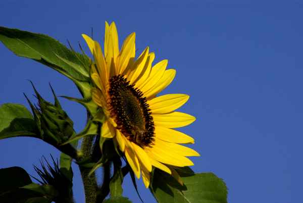 unsere schöne Natur 41