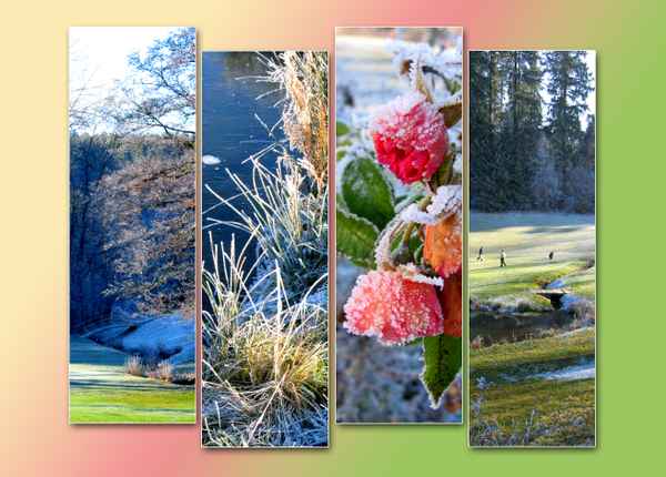 Winter-Impressionen