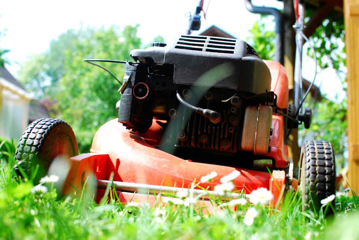 Rasenmäher aus der Froschperspektive