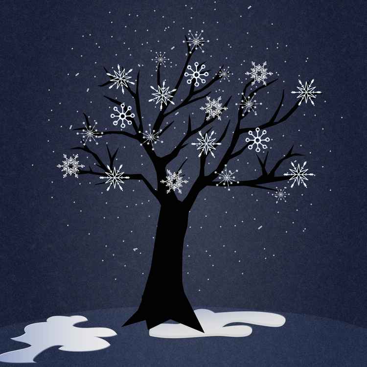 Winterbaum