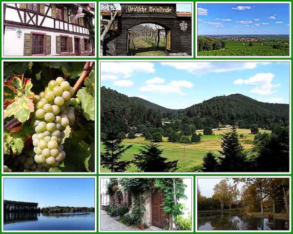 ansichtskarte........suedl.weinstraße