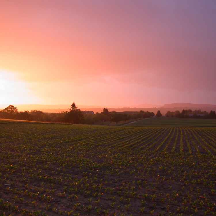 ruhe vor dem sturm