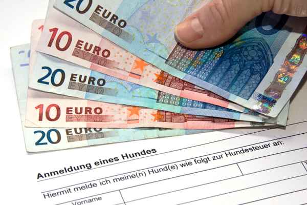 Hundesteuer