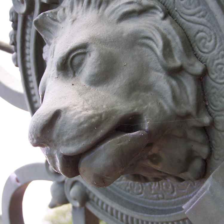 Löwenkopf