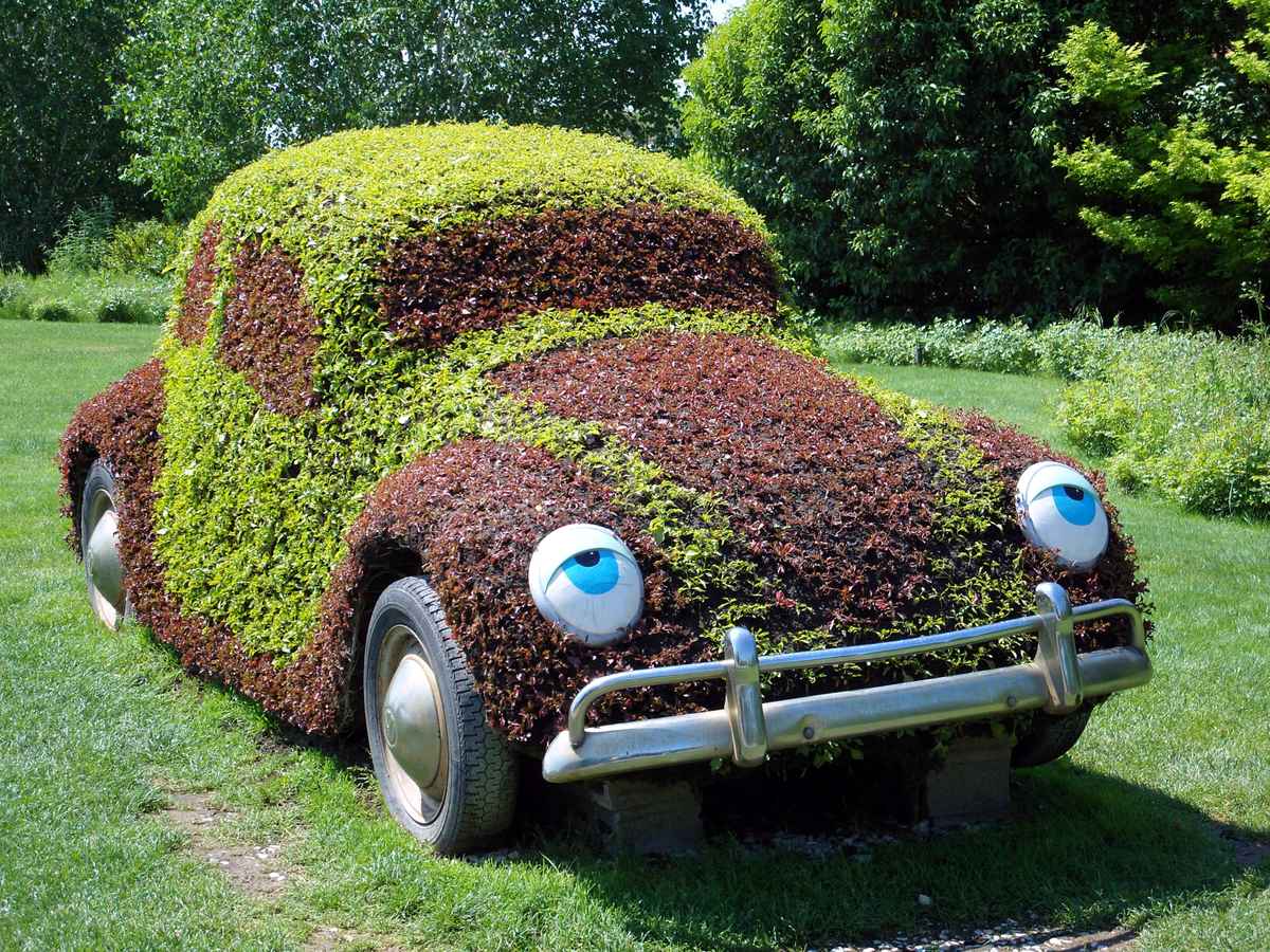 Ökologisches Fahren