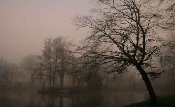 a dark foggy day