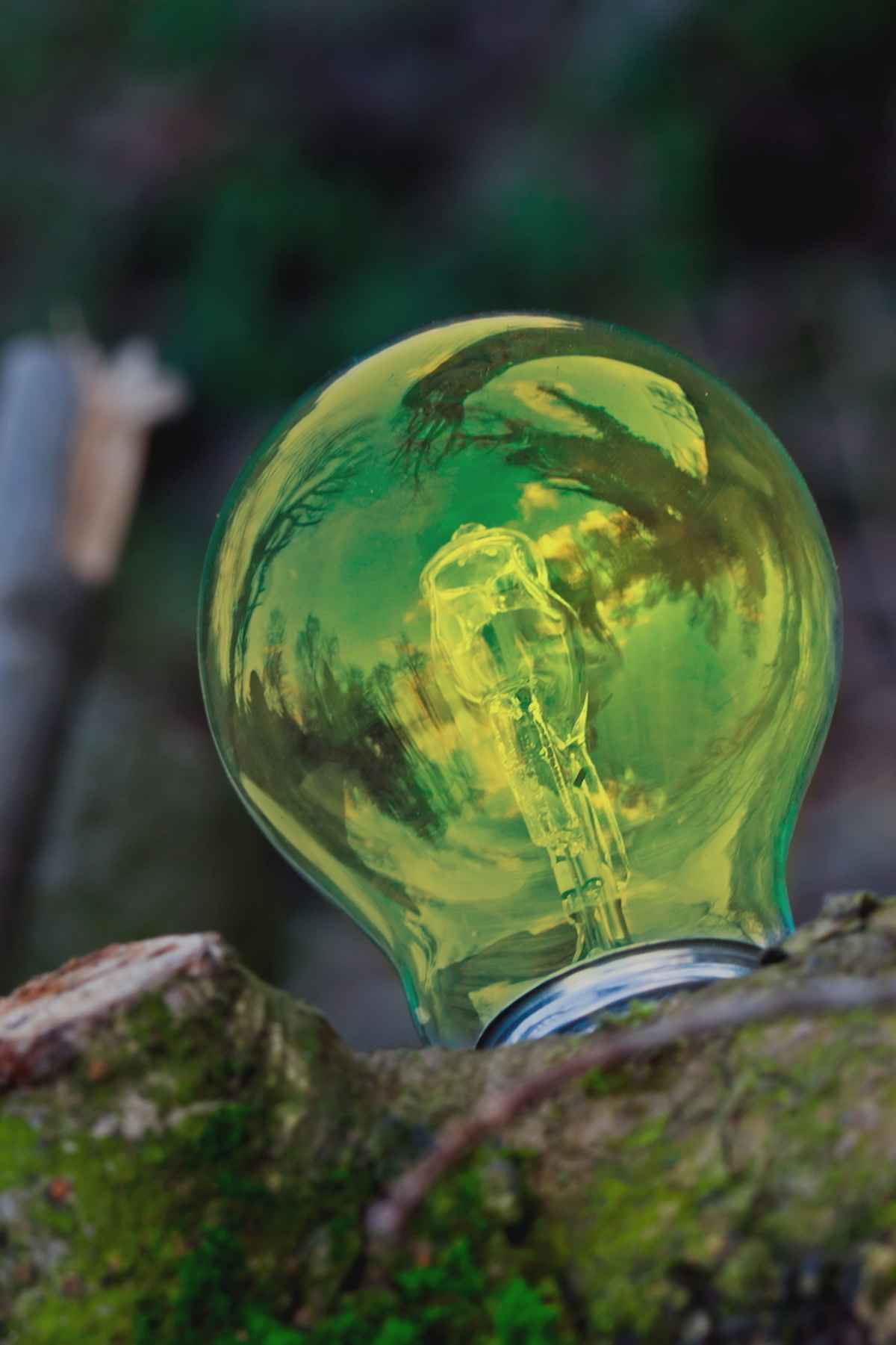 glühende Birne in der Natur