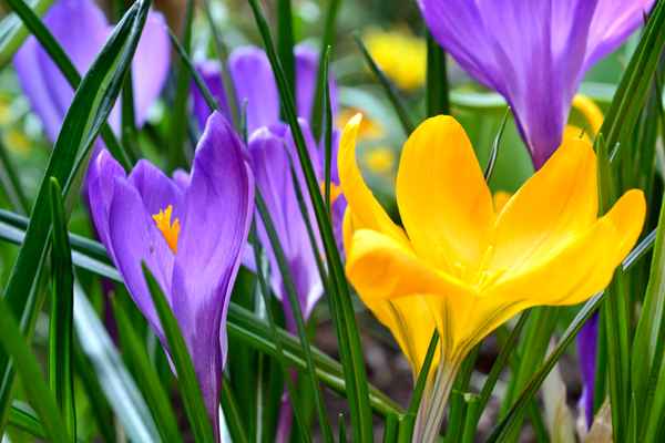 Winter, nein danke ;-)