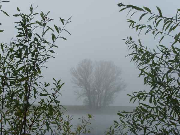 Herbstnebel über der Elbe