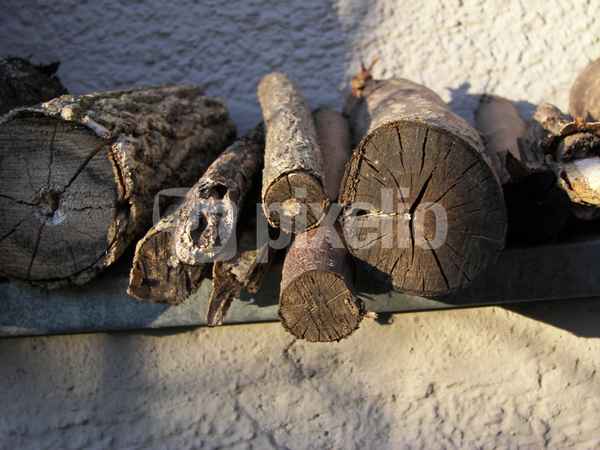 Holz