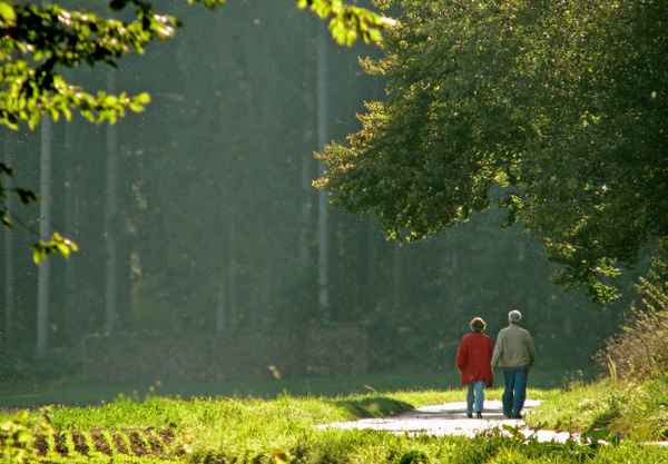 Spaziergang im Herbst