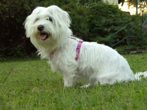 Neuzugang in der Familie