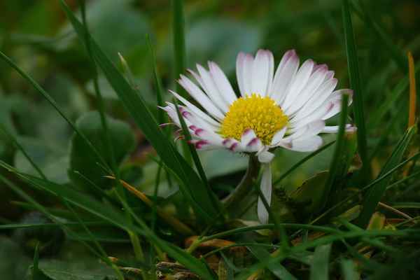 sie sind wieder da...