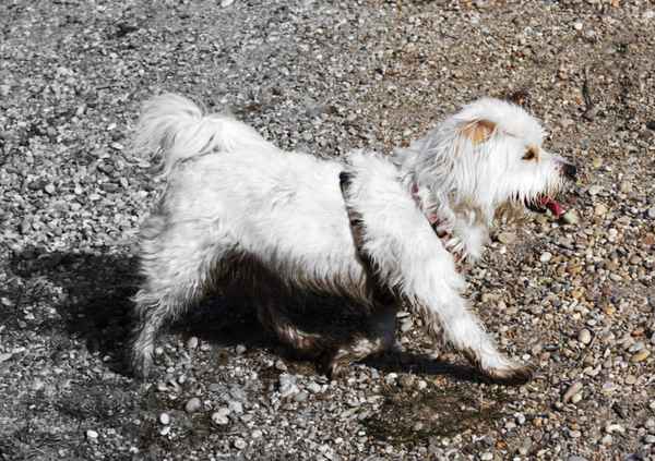 Auf in eine buntere Welt...