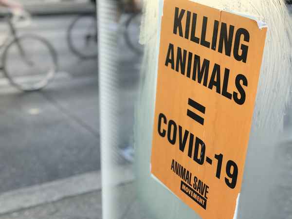 Protest für Tierschutz: "Killing Animals = Covid-19" / Foto: Alexander Hauk