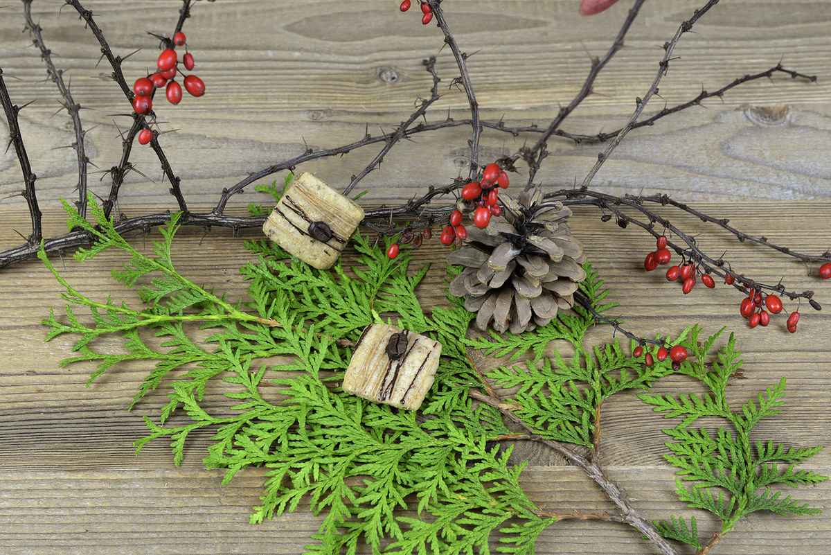 Gefüllte Mokkaplätzchen