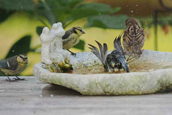 erfrischung an heißen tagen