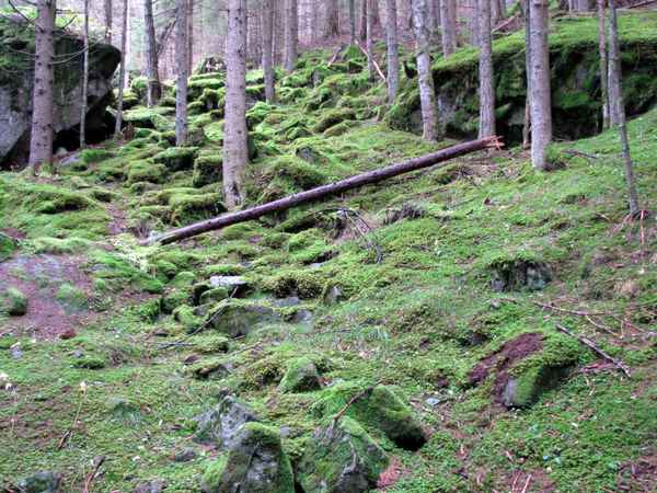 Mystische Bergwelt