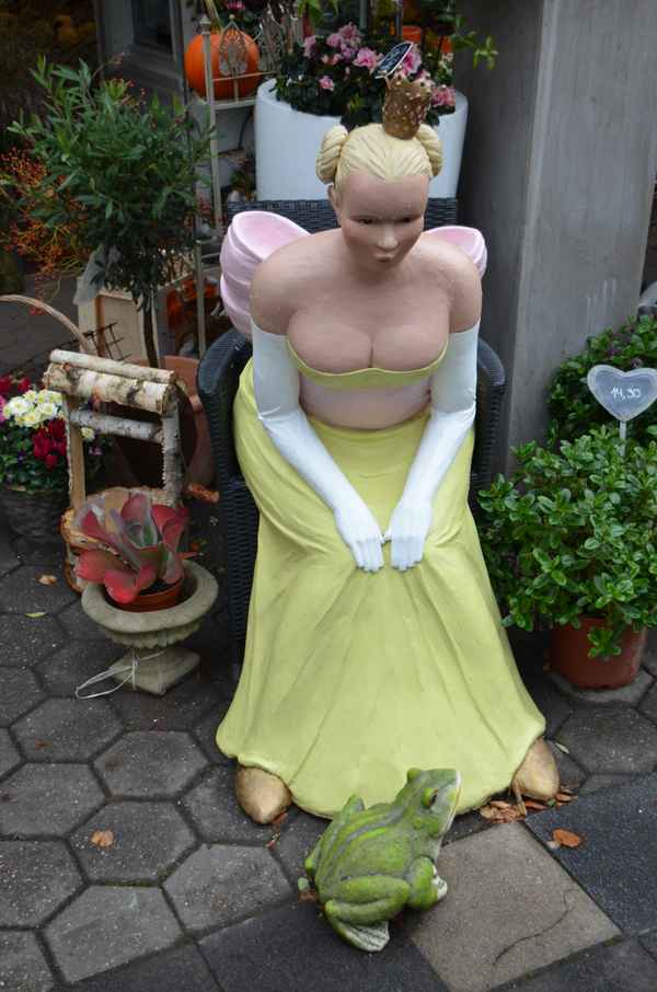 ich küsse nur frösche