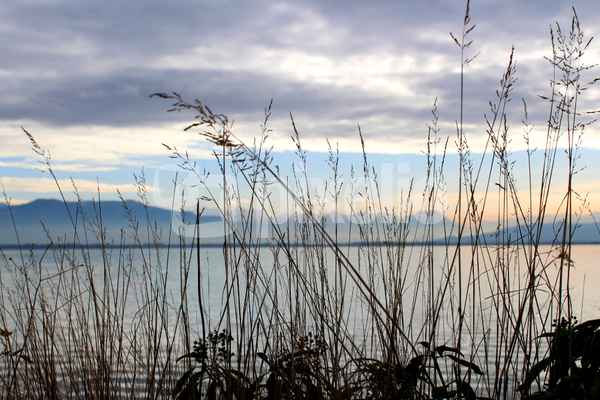STILLE AM SEE II
