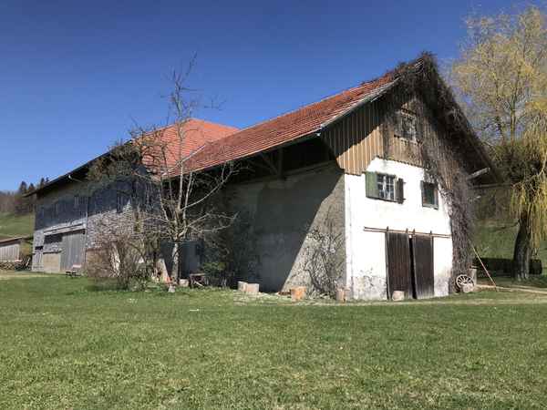Altes Bauernhaus im Allgäu / Foto: Alexander Hauk