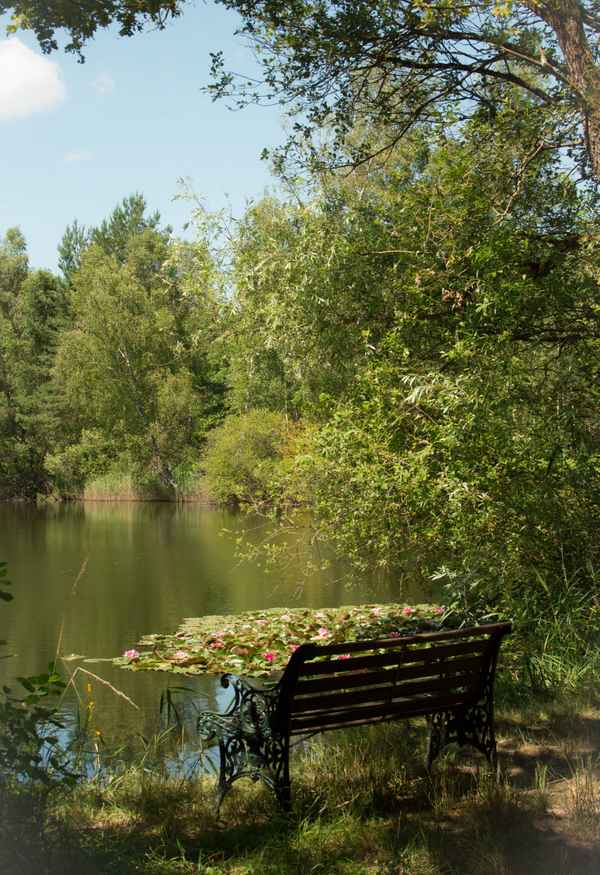 Ruheplatz am waldsee