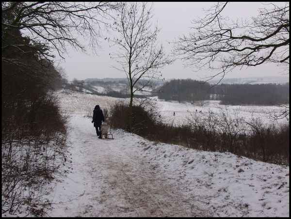 Rostocker Schweiz im Winter 01