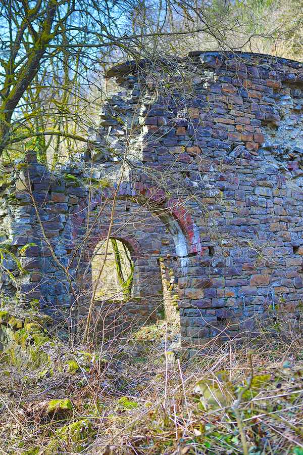 Im Wald