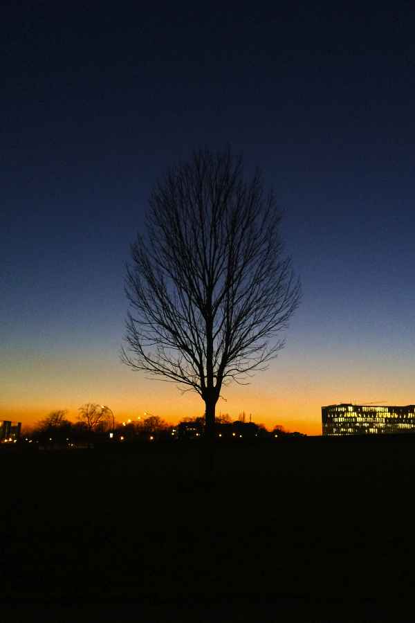 Zwischen Kanzleramt und Hauptbahnhof