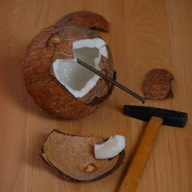 geknackte Kokosnuss mit Anleitung
