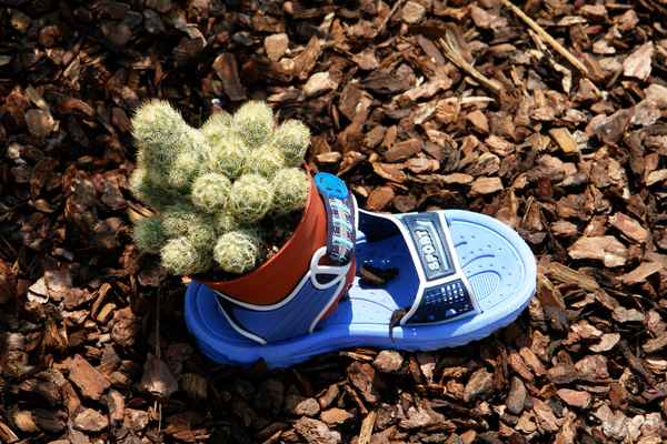 Schuhfetischsmus #3