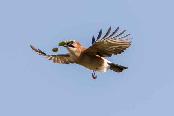 Der nächste Winter kommt bestimmt