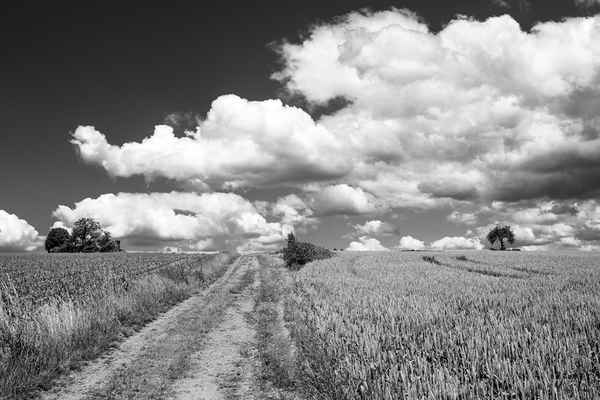 Sommerwolken SW