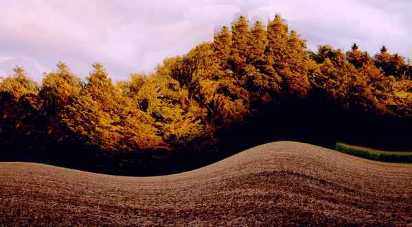 Einfach nur Natur