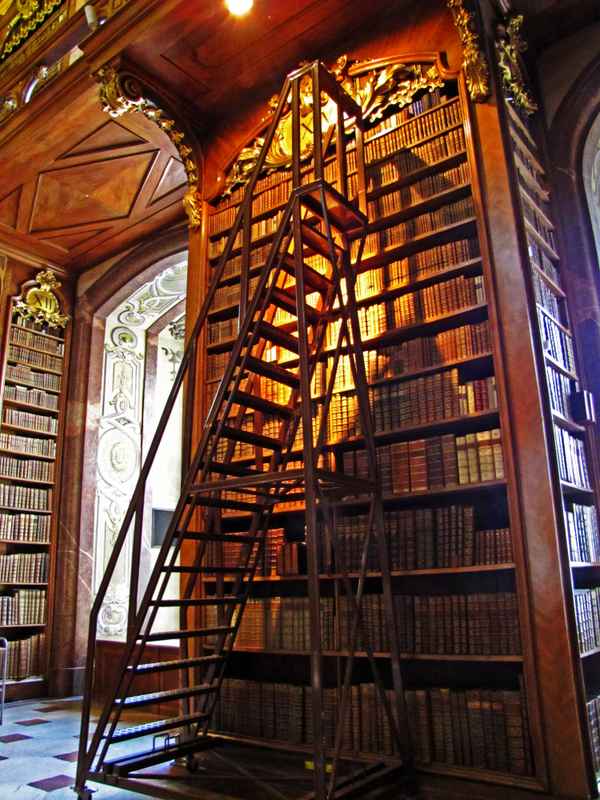Bücherwürmer - hoch hinaus