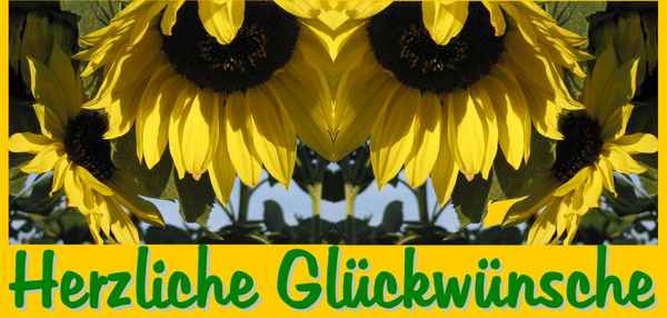 Doppelsonnenblume