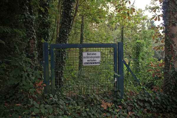 Verwilderter Betriebseingang