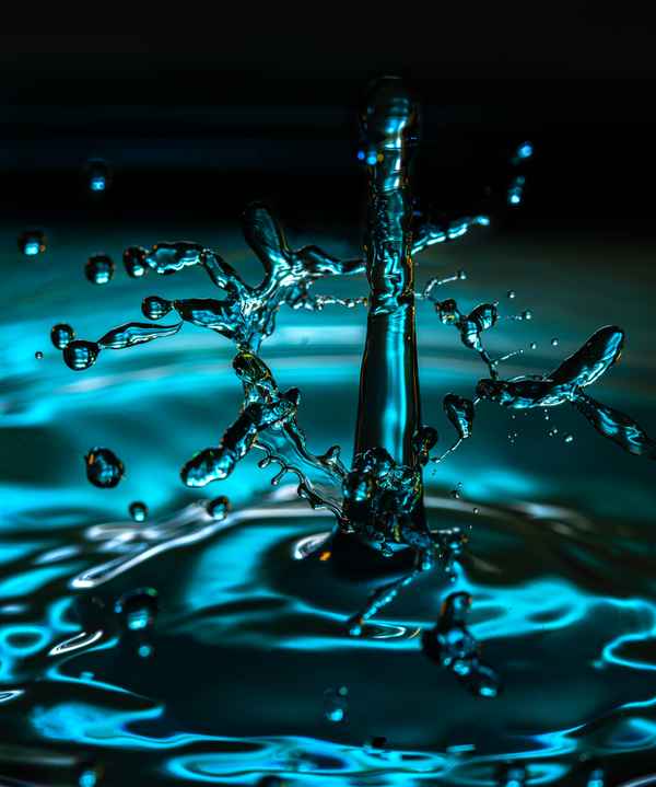 wild droplets