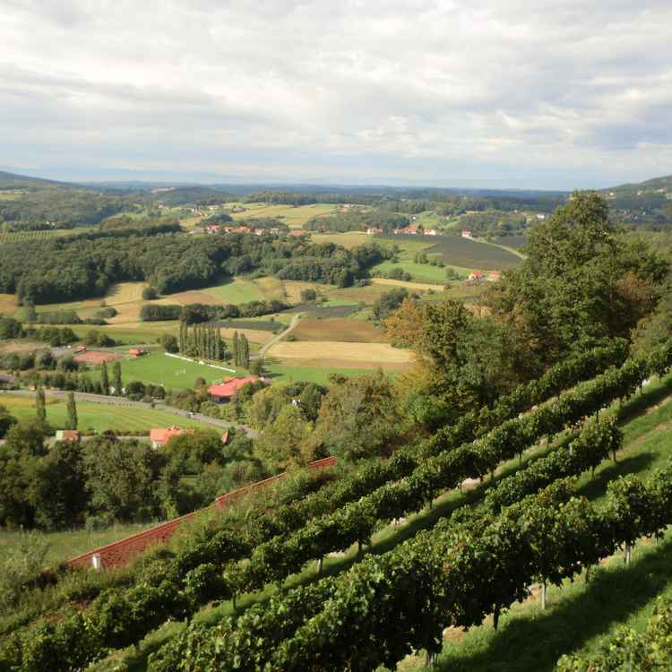 Kapfenstein
