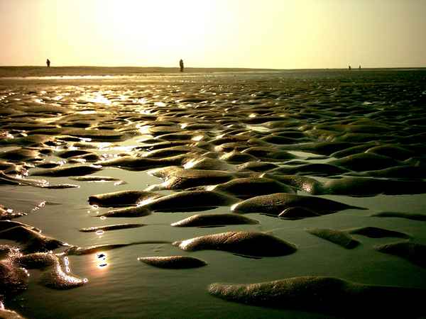 Watt in Sepia
